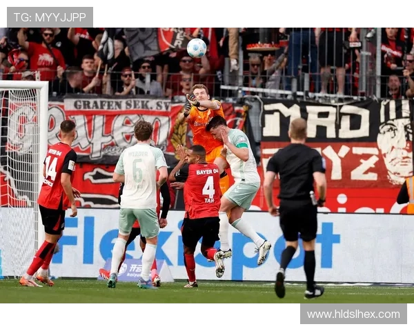 云达不来梅近期表现分析及未来赛季展望：新阵容与战术调整