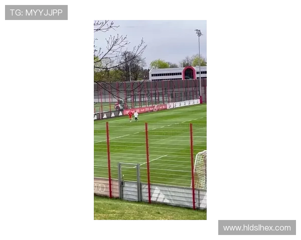 海登海姆俱乐部新赛季多线进展动态引发球迷广泛热议与期待高涨声